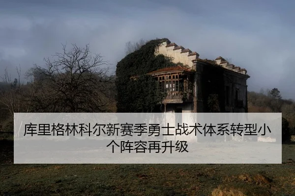 库里格林科尔新赛季勇士战术体系转型小个阵容再升级